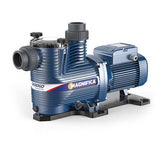 Pedrollo Pool Pump 2HP